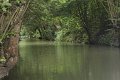 (14) Le Marais Poitevin